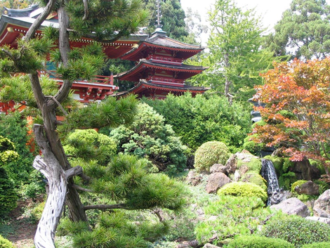 A Japanese tea house, built specifically to house tea ceremonies
